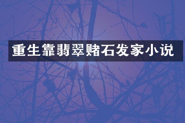 重生靠翡翠赌石发家小说