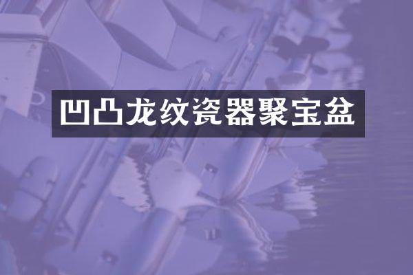 凹凸龙纹瓷器聚宝盆