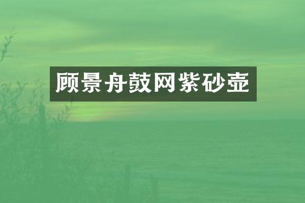 顾景舟鼓网紫砂壶