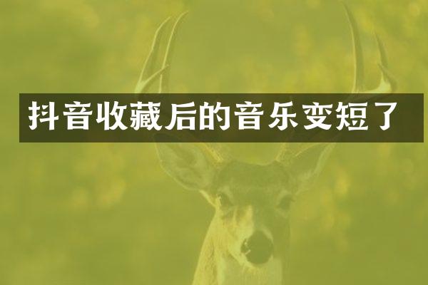 抖音收藏后的音乐变短了