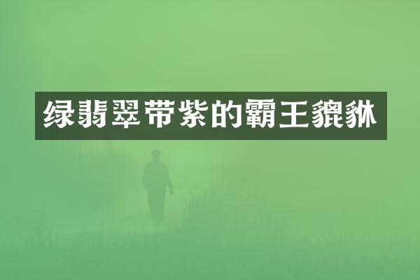 绿翡翠带紫的霸王貔貅