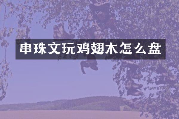 串珠文翅木怎么盘