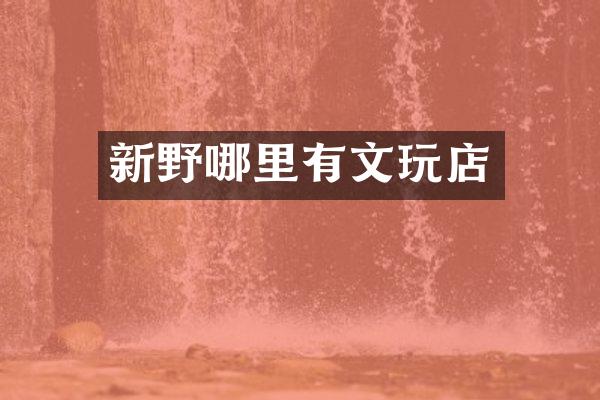 新野哪里有文玩店