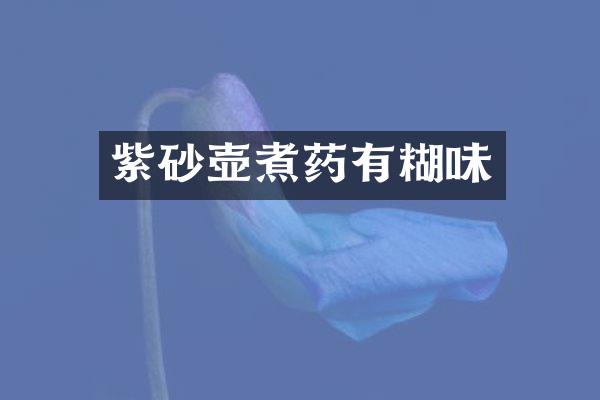 紫砂壶煮药有糊味