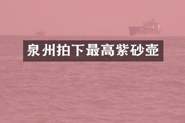 泉州拍下最高紫砂壶