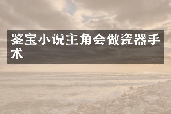 鉴宝小说主角会做瓷器手术