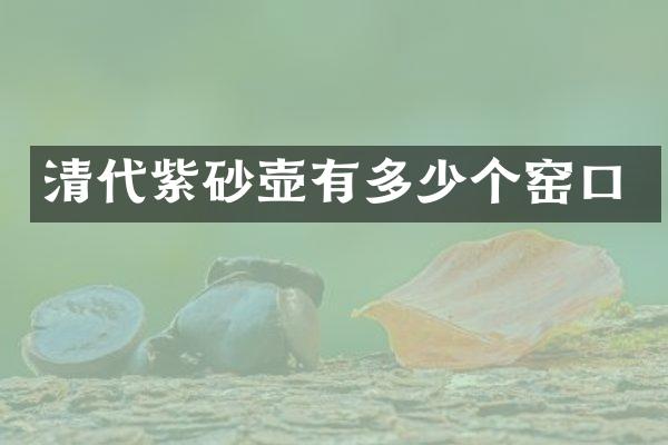 清代紫砂壶有多少个窑口