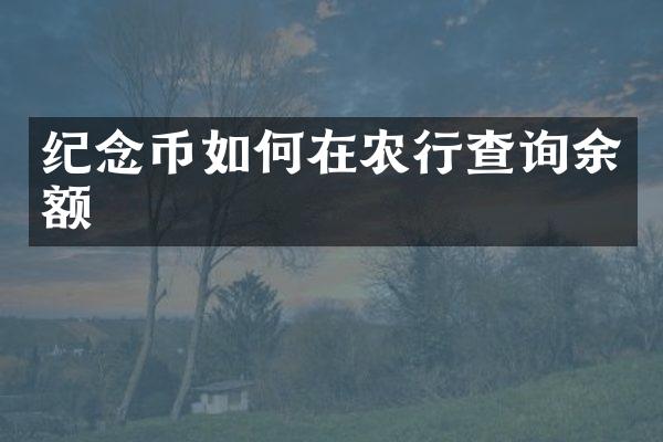 纪念币如何在农行查询余额