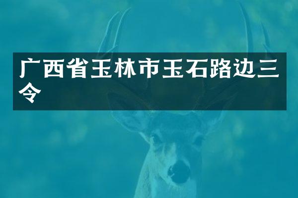 广西省玉林市玉石路边三令