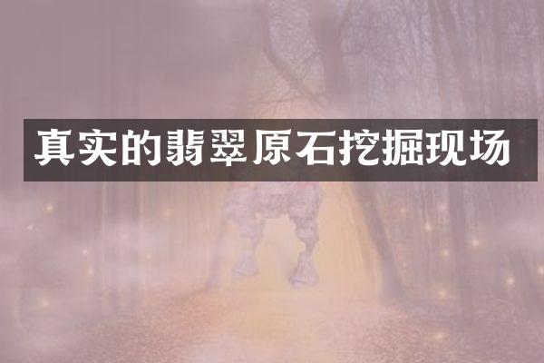 真实的翡翠原石挖掘现场