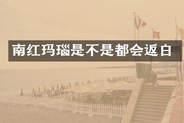 南红玛瑙是不是都会返白