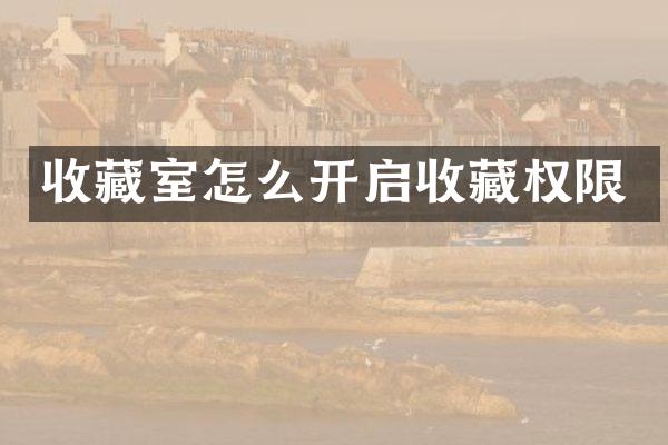 收藏室怎么开启收藏权限