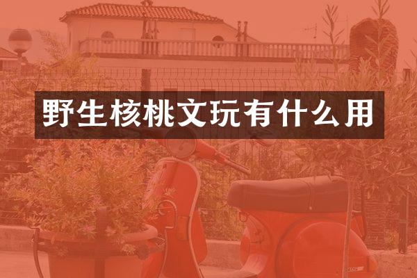 野生核桃文玩有什么用