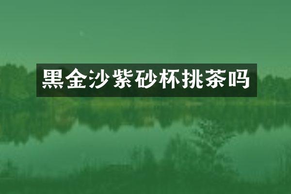 黑金沙紫砂杯挑茶吗