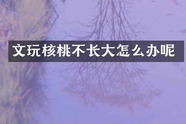 文玩核桃不长大怎么办呢