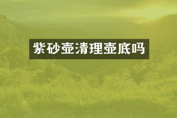 紫砂壶清理壶底吗