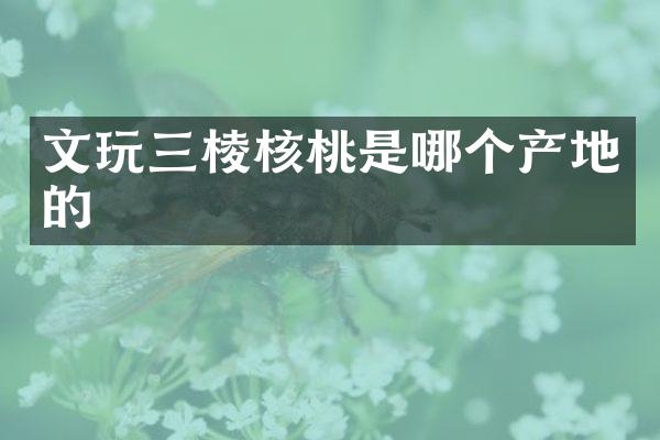 文玩三棱核桃是哪个产地的