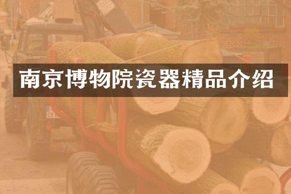 南京博物院瓷器精品介绍