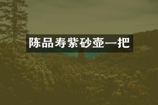 陈品寿紫砂壶一把