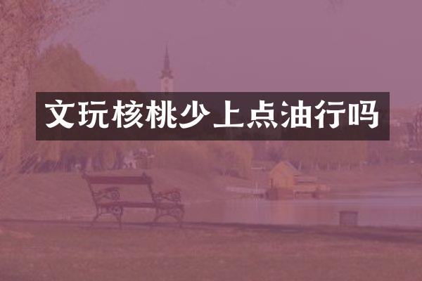 文玩核桃少上点油行吗