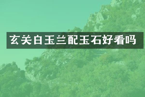 玄关白玉兰配玉石好看吗
