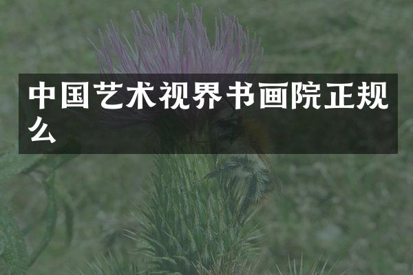 中国艺术视界书画院正规么