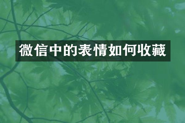 微信中的表情如何收藏