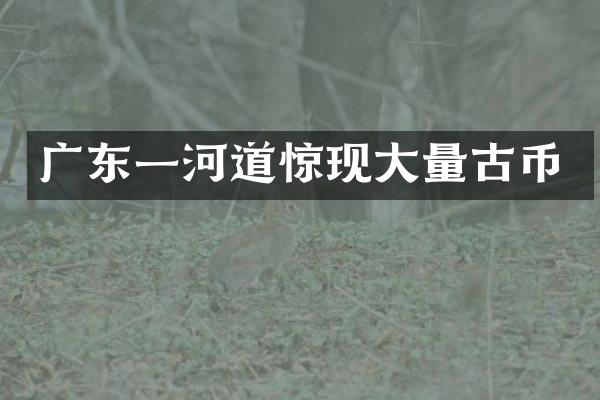广东一河道惊现大量古币