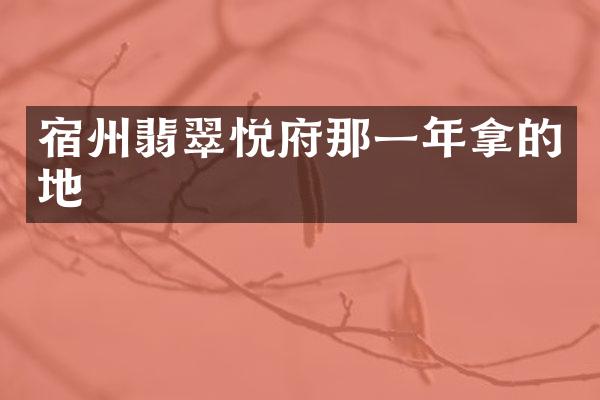 宿州翡翠悦府那一年拿的地