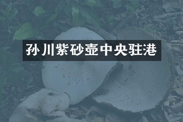 孙川紫砂壶中央驻港