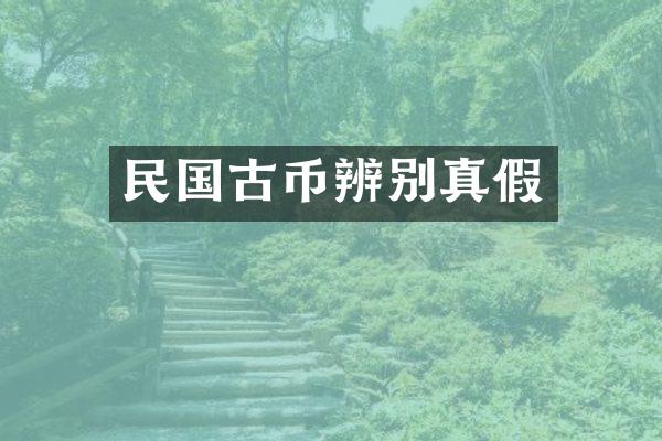 民国古币辨别真假