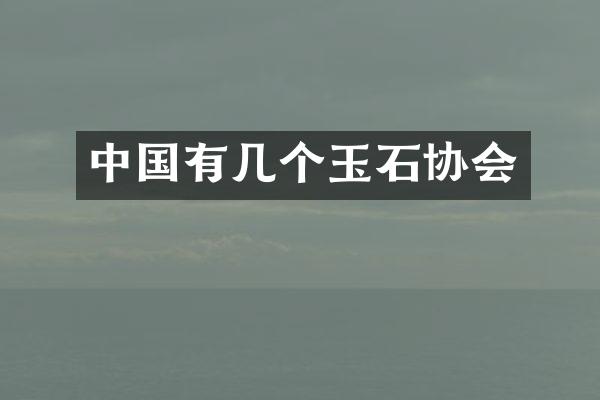 中国有几个玉石协会