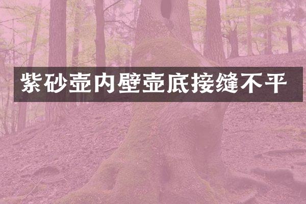 紫砂壶内壁壶底接缝不平