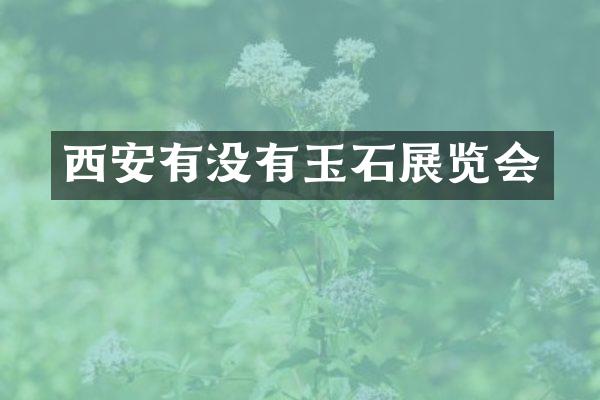西安有没有玉石展览会