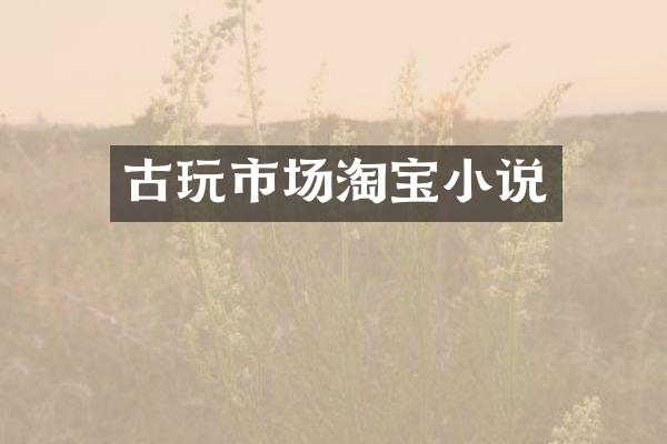古玩市场淘宝小说