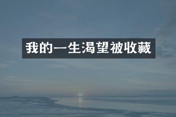 我的一生渴望被收藏