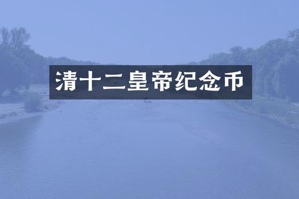 清十二皇帝纪念币