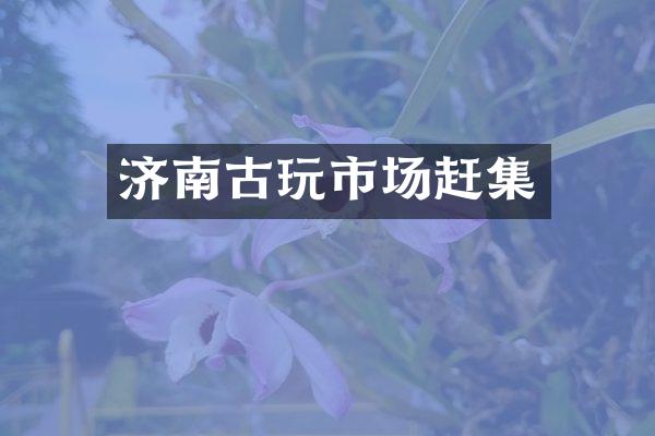 济南古玩市场赶集