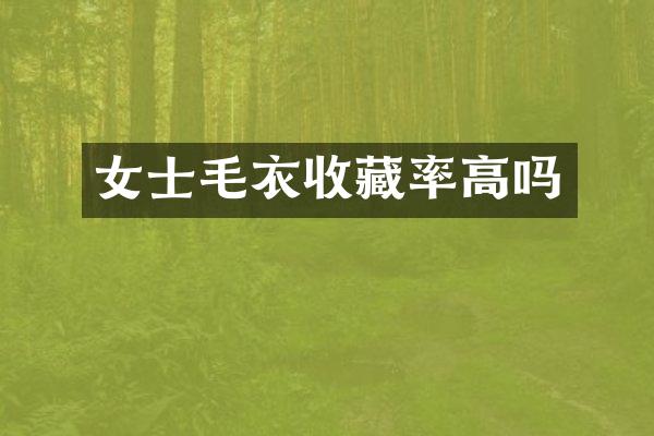 女士毛衣收藏率高吗