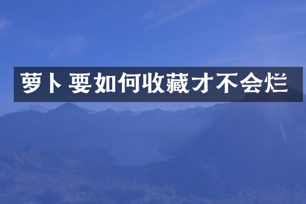 萝卜要如何收藏才不会烂