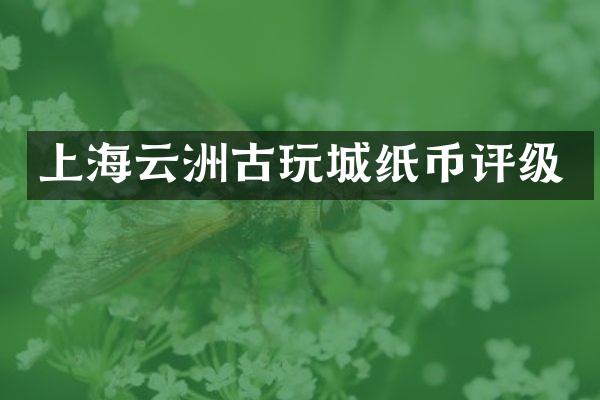 上海云洲古玩城纸币评级
