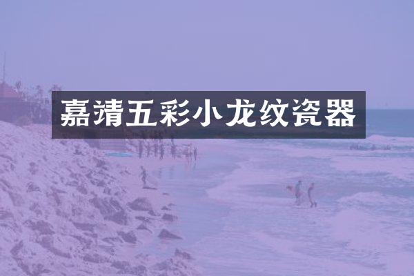 嘉靖五彩小龙纹瓷器