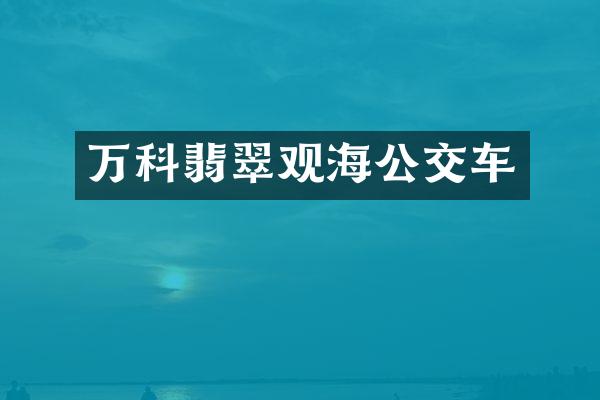 万科翡翠观海公交车