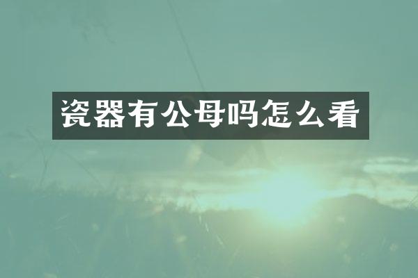 瓷器有公母吗怎么看