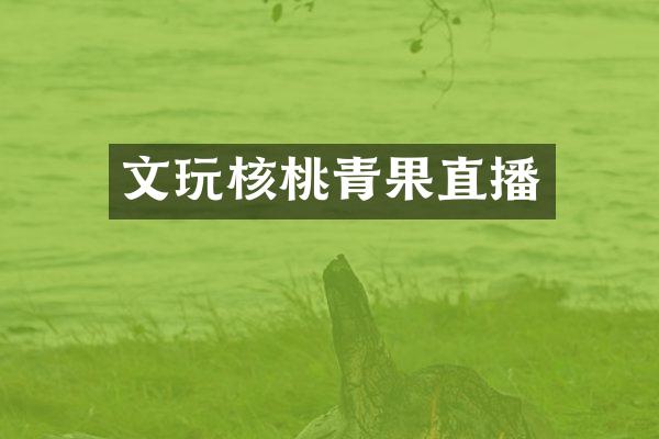文玩核桃青果直播