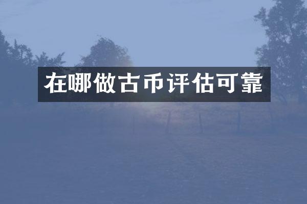 在哪做古币评估可靠