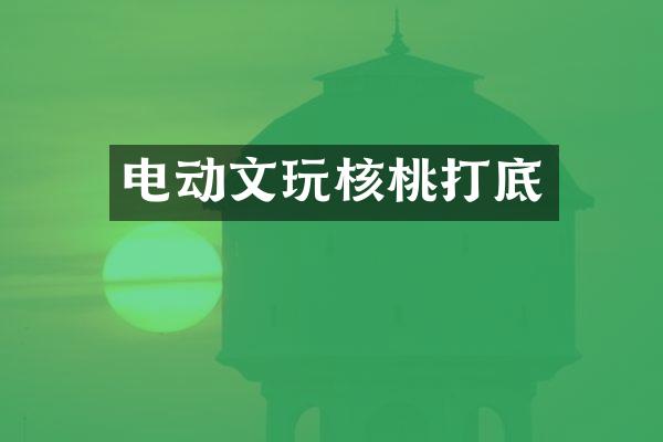 电动文玩核桃打底