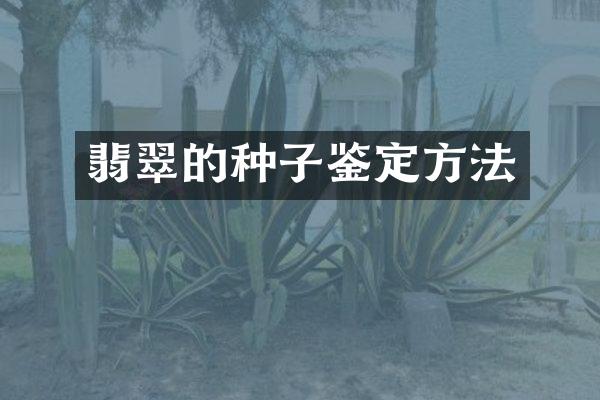 翡翠的种子鉴定方法