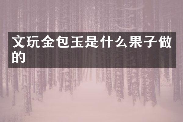 文玩金包玉是什么果子做的