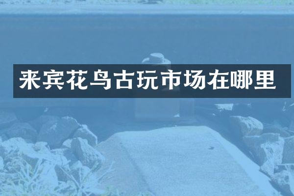 来宾花鸟古玩市场在哪里